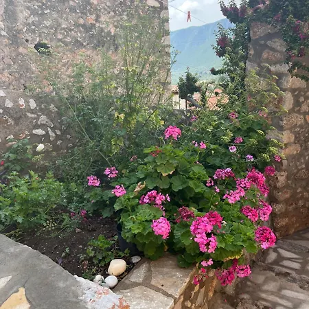 Lejlighed Sunshine 1 *