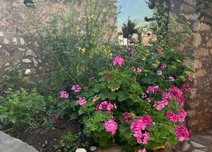 Lägenhet Sunshine 1 *